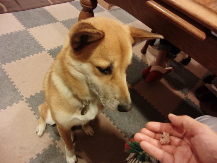 b0246876_23012340.jpg
