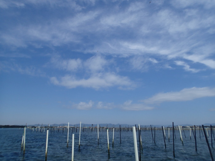 c0197578_0133454.jpg