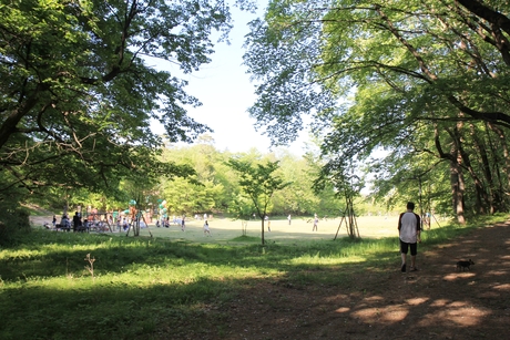 c0283778_17455997.jpg