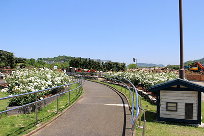 c0152779_1811547.jpg