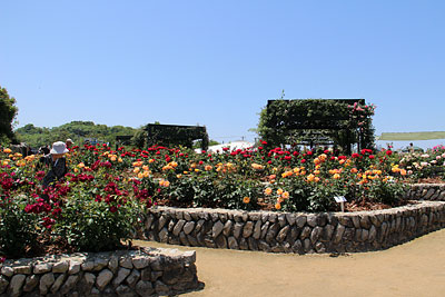 c0152779_18122479.jpg