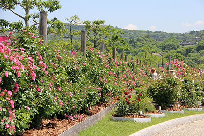 c0152779_18161910.jpg