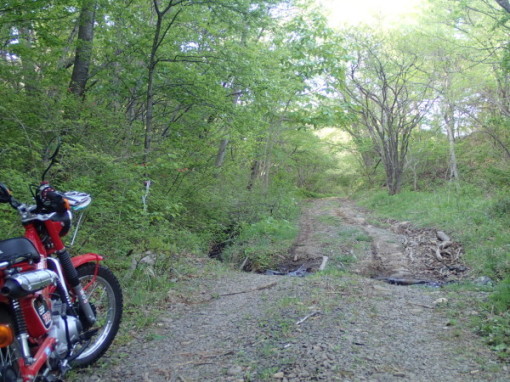 a0279883_09223795.jpg