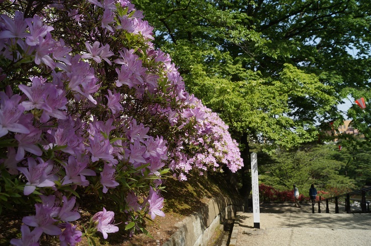 d0129083_15212919.jpg