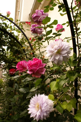 d0166389_052690.jpg