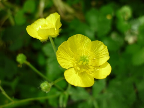 f0194690_1127472.jpg
