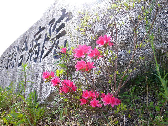 a0199297_1965938.jpg