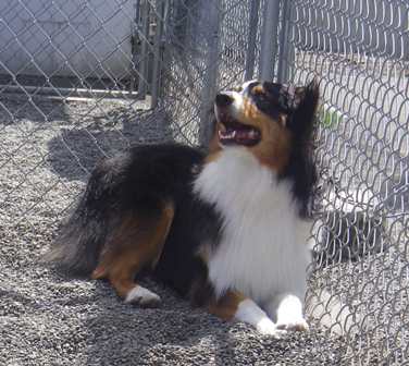 f0077697_14595959.jpg