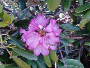 c0151898_2144526.jpg