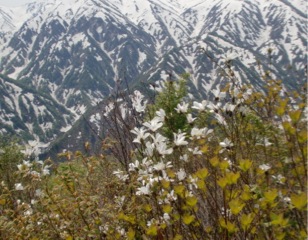 c0151898_21451983.jpg
