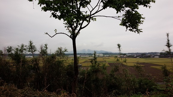 a0156611_781140.jpg