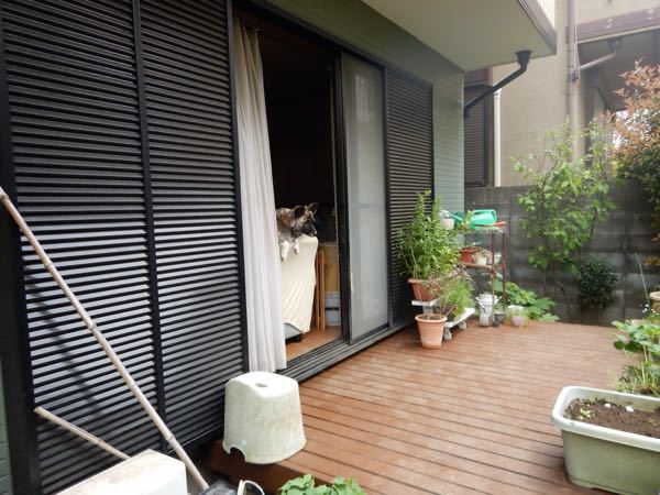 f0329311_9153740.jpg