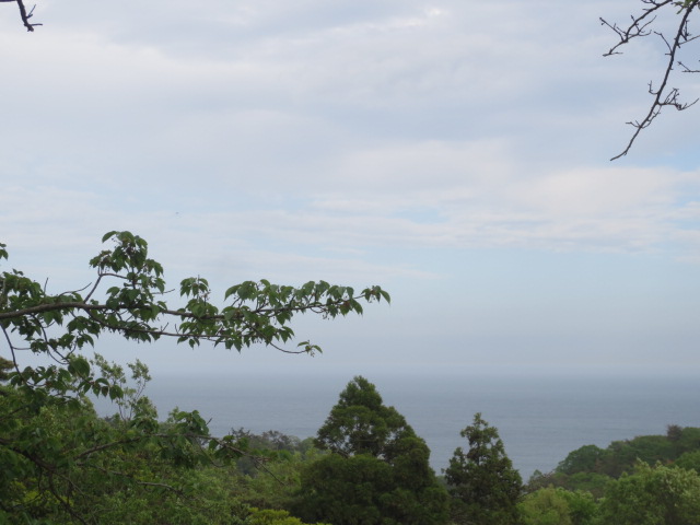 f0248616_16304252.jpg