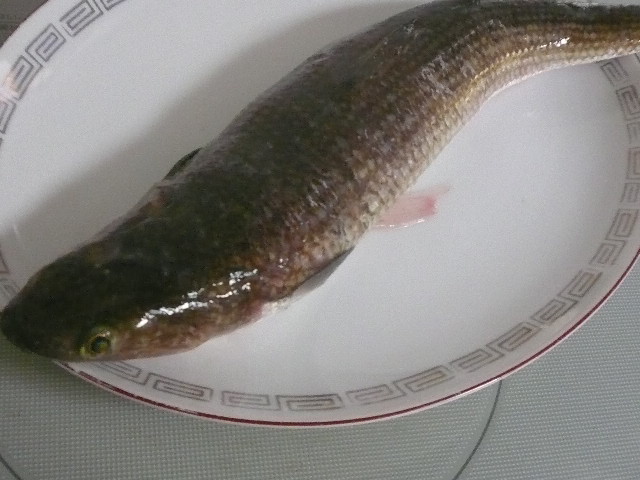 e0026017_14561268.jpg