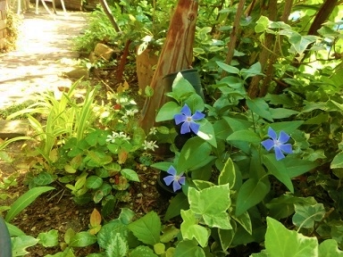 c0204121_23543882.jpg