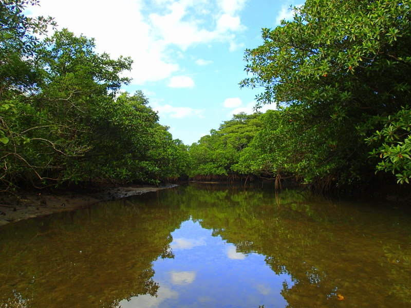 d0235123_22515776.jpg