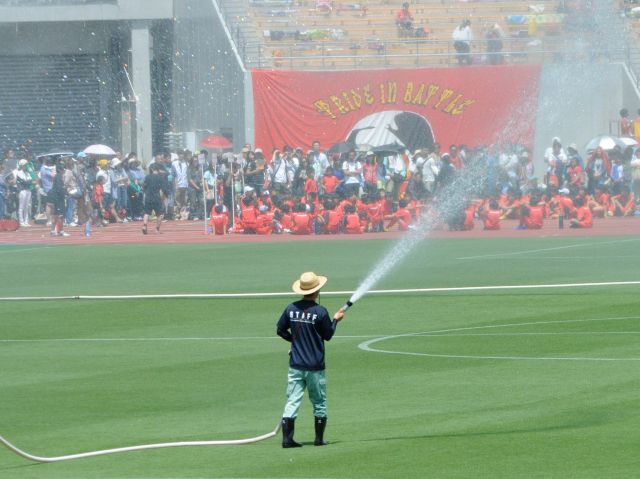 b0000829_9215016.jpg