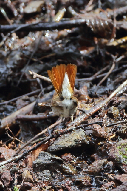 c0148230_1837551.jpg