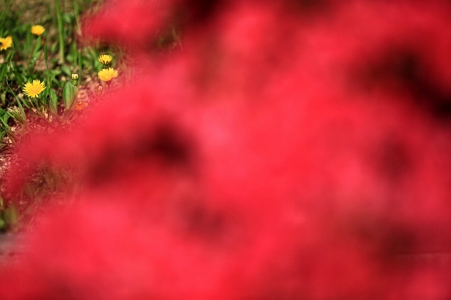 a0242438_19515111.jpg