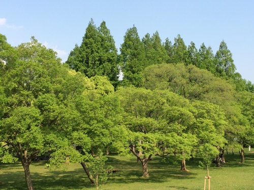 a0314846_17402879.jpg