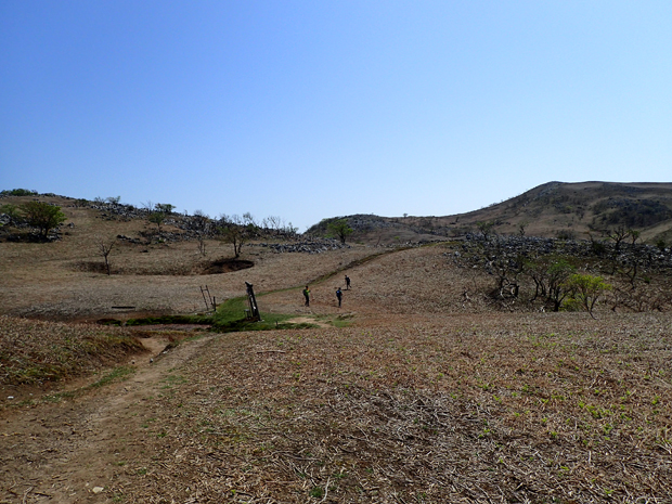 f0214649_156873.jpg