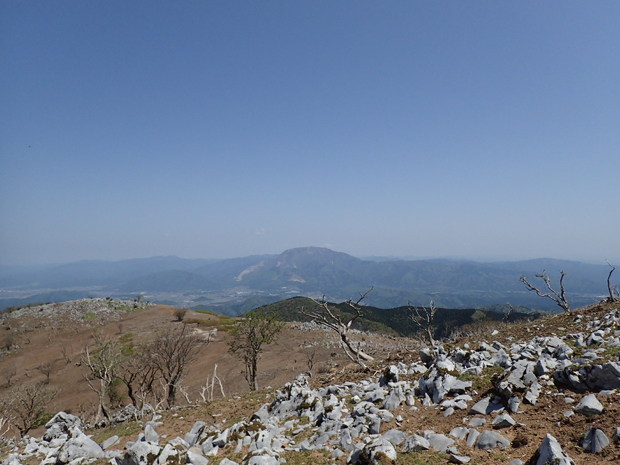 f0214649_1611194.jpg