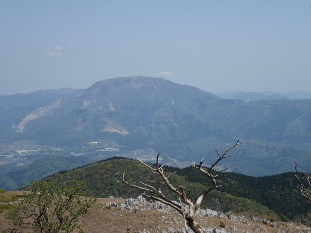 f0214649_16113797.jpg
