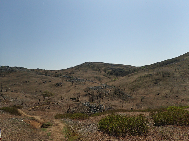 f0214649_1692852.jpg