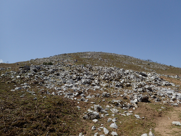 f0214649_17201347.jpg