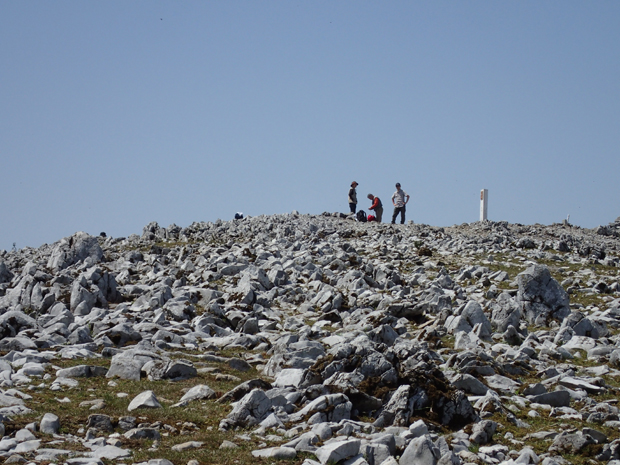 f0214649_17221024.jpg