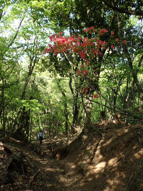 f0214649_4225457.jpg