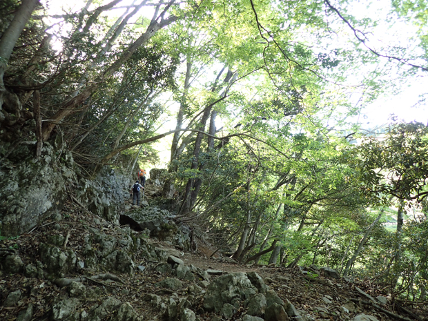 f0214649_4235011.jpg
