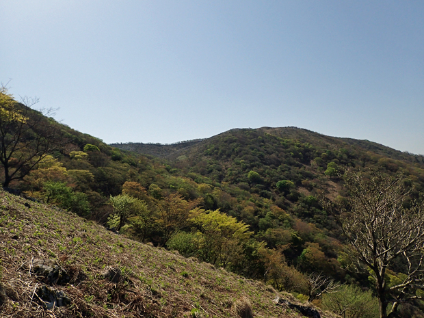 f0214649_4341892.jpg