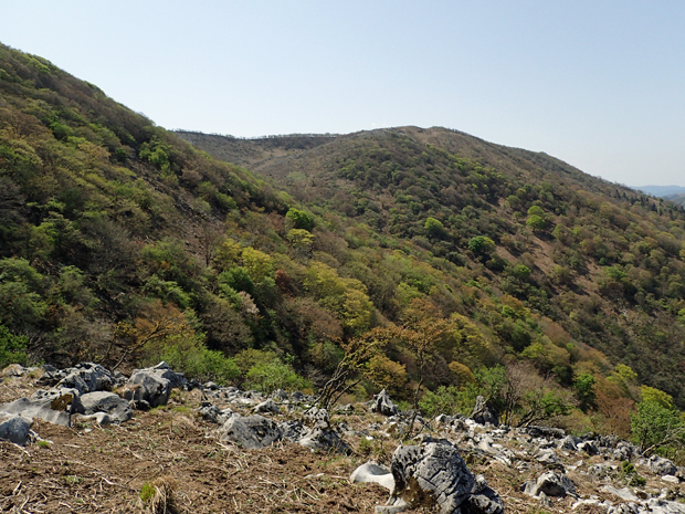 f0214649_4372868.jpg