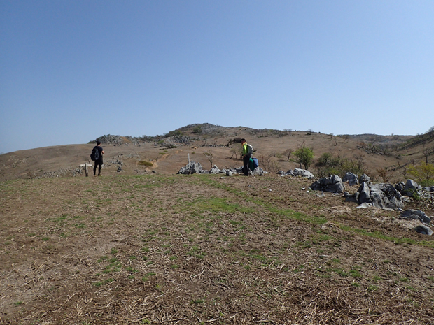 f0214649_438060.jpg