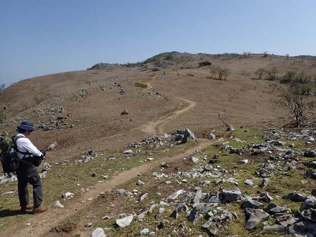 f0214649_4393046.jpg