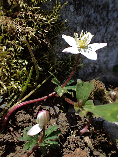 f0214649_442588.jpg