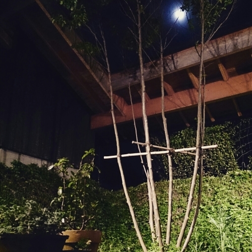f0341250_22113156.jpg