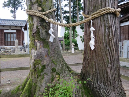 f0202151_13151192.jpg