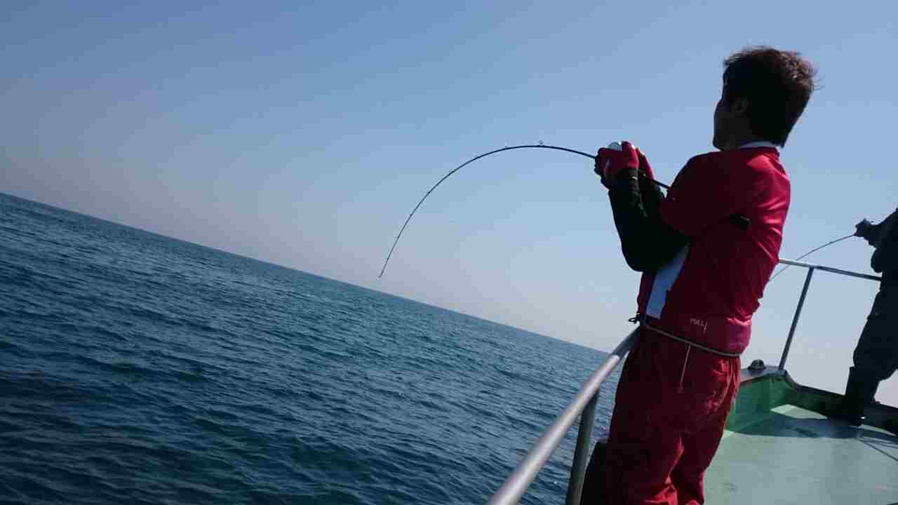a0248152_1734117.jpg