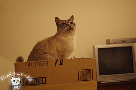 e0031853_0472257.jpg