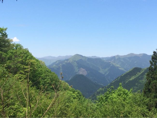 d0005157_1817435.jpg