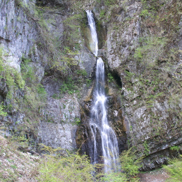 b0320758_20423764.jpg