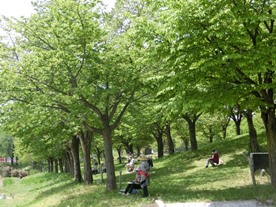 b0218664_17402675.jpg