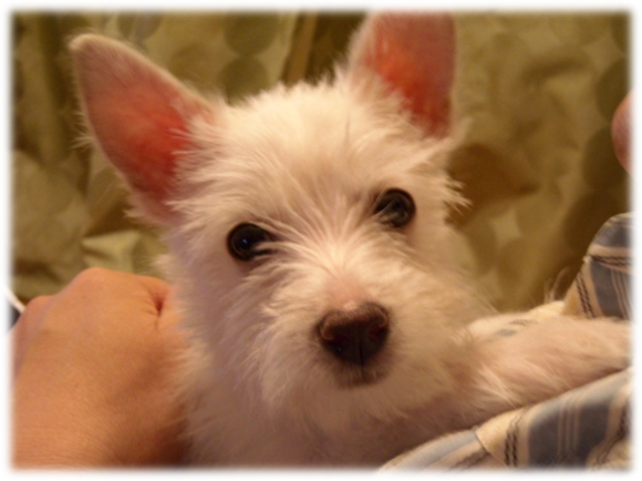 b0242873_23490697.png
