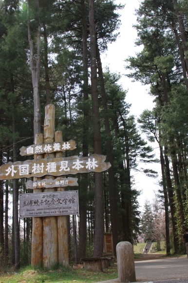 e0133273_15402440.jpg