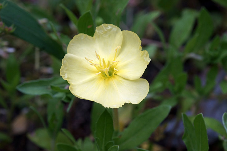 b0057679_993654.jpg