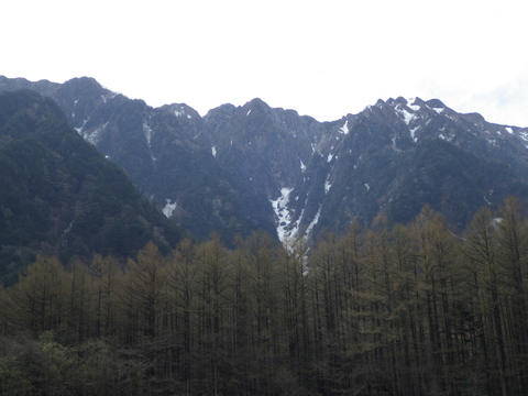 a0094280_974169.jpg
