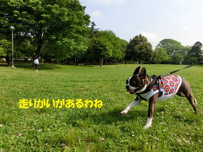 d0256580_957406.jpg