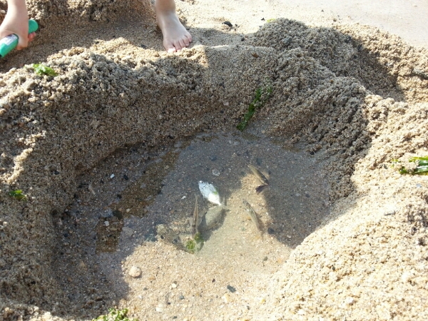 f0183484_13181428.jpg